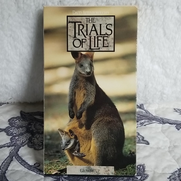 Vintage 1991 David Attenborough's "The Trials of Life" Time Life 12 VHS Box Set - Picture 7 of 15